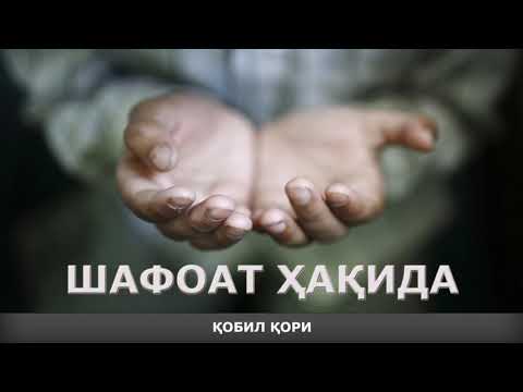 Видео: SHAFOAT HAQIDA  - Qobil qori || ШАФОАТ ХАКИДА - Қобил қори - [[Mahzun Bo'lma.tv]