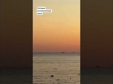 Видео: 11 августа 2025 г.