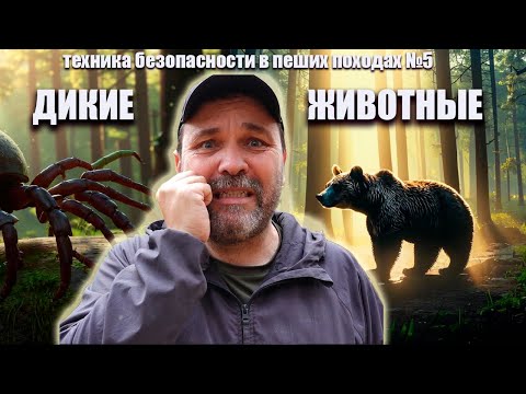 Видео: Дикие животные: техника безопасности в пеших походах №5