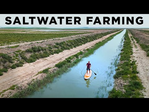 Видео: 2 МИЛЛИАРДА АКР НОВЫХ сельхозугодий