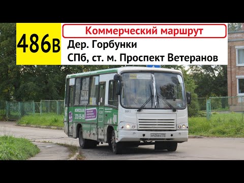 Видео: Автобус 486в "Дер. Горбунки - СПб, ст. м. "Проспект Ветеранов" (коммерческий)