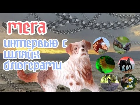 Видео: schleich интервью/ интервью с schleich блогерами/ пятый выпуск ⭐