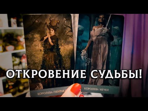 Видео: ОШЕЛОМЛЯЮЩЕЕ ОТКРОВЕНИЕ ОТ СУДЬБЫ! ЧТО ВАМ НА РОДУ НАПИСАНО?