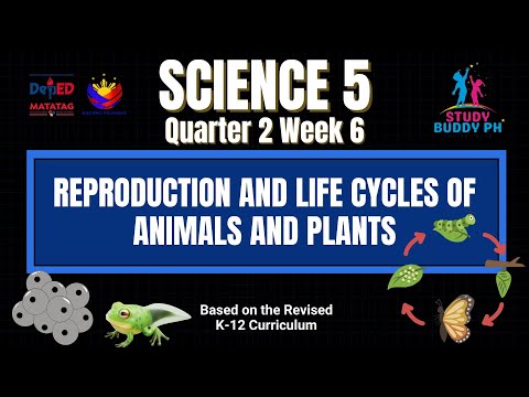 Видео: Естествознание 5 четверть 2 неделя 6 – Размножение и жизненные циклы животных и растений