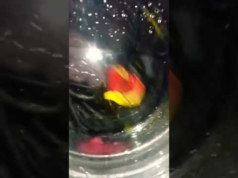 Видео: слив воды