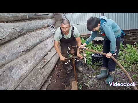 Видео: Абисинка в д.Старый Каенлык с небольшим запахом болотной тины