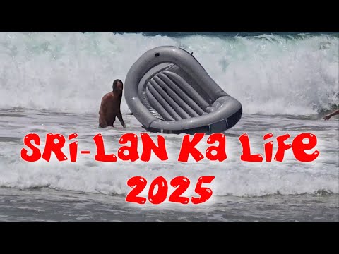 Видео: Шри-Ланка 2025 Музей в Галле ресторан The Bungalow, птицы в доме