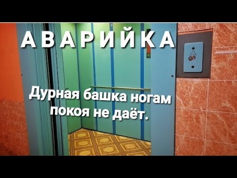 Видео: Аварийка. Дурная башка ногам покоя не даёт.