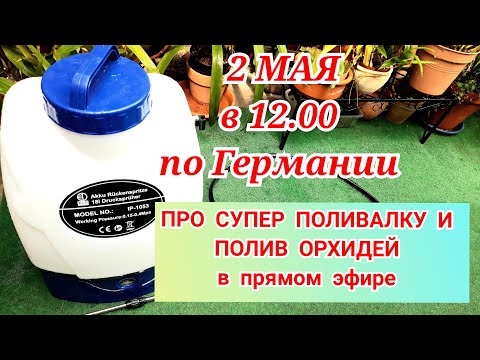 Видео: Полив орхидей.Как я быстро поливаю много ОРХИДЕЙ. Аккумуляторный ранцевый обрыскиватель.