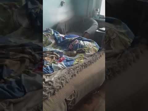 Видео: Стьопа