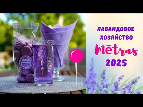 Видео: Лавандовое хозяйство Mētras, Латвия