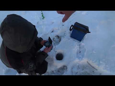 Видео: Первая рыбалка в Новом году с ночёвкой в палатке. Наловили окуней.