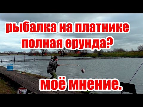 Видео: Чешуйня или почему я делаю видео с платной рыбалки.