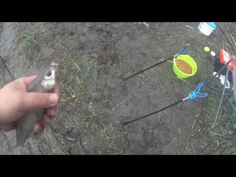 Видео: Рыбалка на Дону 07 05 2021 г