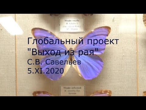 Видео: С.В. Савельев - Выход из рая