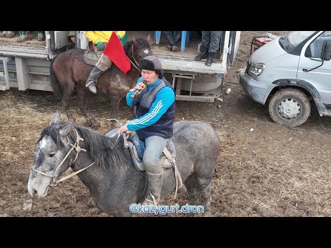 Видео: 29.02.2024 Қазығұрт ауданы Махамбет ауылы Момыновтар әулеті елден бата алу көкпар тойы