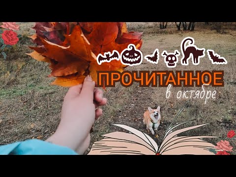 Видео: Прочитанное в октябре 🎃