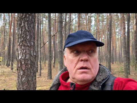 Видео: По грибы 🍄‍🟫с палкой выручалкой! Как можно заблудится в трех соснах?  Спасибо Богу продолжаем жить!