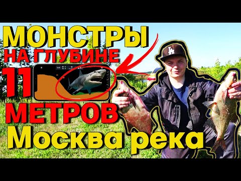 Видео: МОНСТРЫ В ГЛУБОКОЙ ЯМЕ Москва река | РЫБАЛКА ЛЕТОМ на ЛЕЩА.ФИДЕР.ДОНКА.ЗАКИДУШКИ.Лыткарино.Жуковский