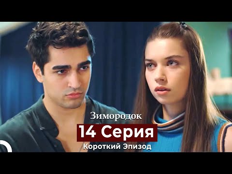 Видео: Зимородок 14 Cерия (Короткий Эпизод) (Русский дубляж)