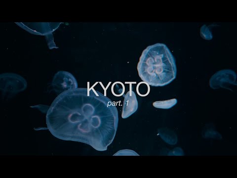 Видео: KYOTO part. 1// летние каникулы, Нара, выставка Kusama