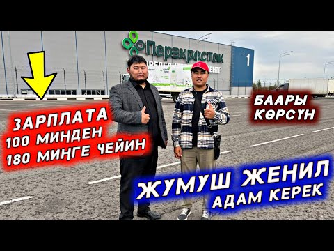 Видео: Жумушчулар керек срочно жетишип калыңыздар 🔥🇰🇬 Иш жакты дейт Агабыз
