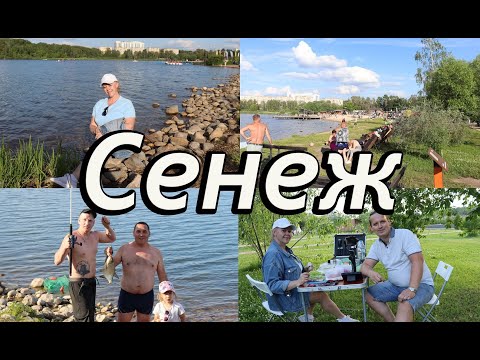 Видео: Озеро "Сенеж". Солнечногорск. Центральный пляж.