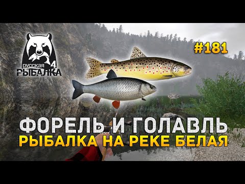 Видео: Форель и Голавль. Рыбалка на реке Белая - Русская Рыбалка 4 #181