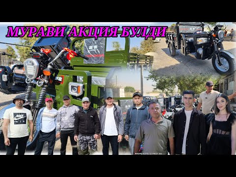 Видео: 😱АНА 😱ХАЛОС 😱ЭЛЕКТР МУРАВИ 😱АКЦИЯ БУЛДИ ЖИГАРИМ УСПЕТ😱 ҚИЛИНГ 😱😱😱😱😱😱😱