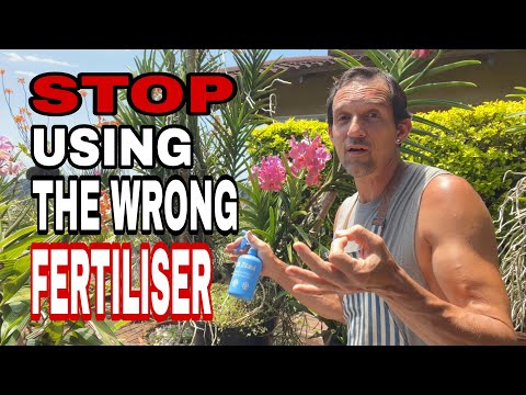Видео: Правда об удобрениях для орхидей – что ДЕЙСТВИТЕЛЬНО работает?