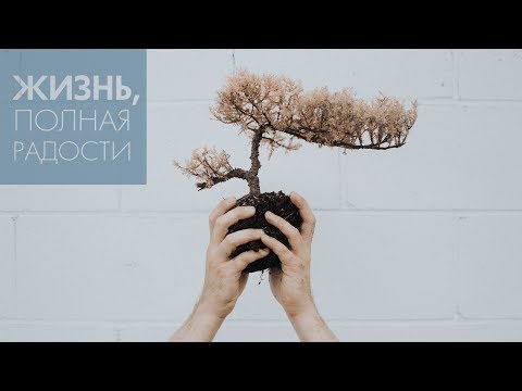 Видео: Джойс Майер: Воспряньте в надежде ч. 2