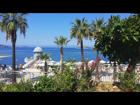 Видео: Blue Dreams Resort 5* -2022г. Прогулялись по территории отеля. Магазин, амфитеатр, детский бассейн.