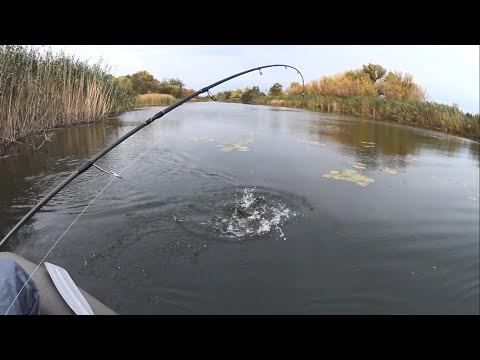 Видео: Щука на реке Северский Донец! Щуку ловят только эти приманки!