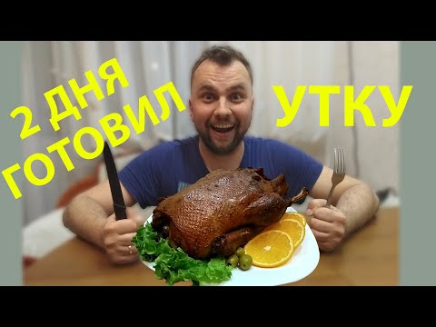 Видео: УТКА С АПЕЛЬСИНАМИ В ЯМЕ. ПАША ЛОХОНУЛСЯ