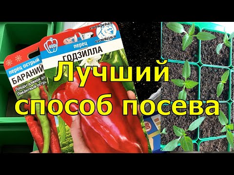 Видео: ТЕПЕРЬ СЕЮ ПЕРЦЫ ТОЛЬКО ТАК. Быстрые ВСХОДЫ