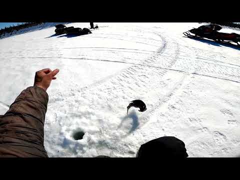 Видео: Рыбалка у Путорана.Закрытие сезона.