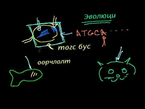 Видео: Оюунлаг загварчлал ба эволюци