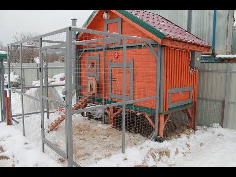 Видео: Бюджетный мини курятник.