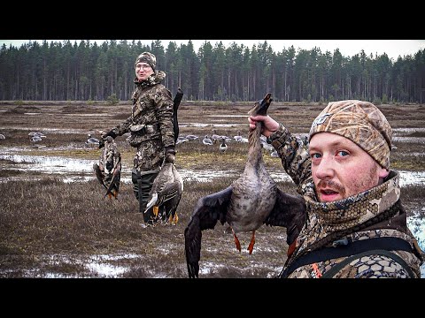 Видео: ОХОТА НА ГУСЯ ВЕСНА 2023 | GOOSE HUNTING 2023 #охота