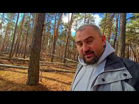 Видео: 2 ноября 2025 г.в поисках грибов!🙏 Эта находка вселяет надежду😍