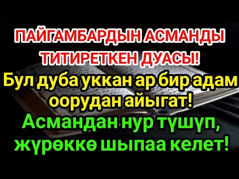 Видео: Пайгамбардын Дубасы! Асмандан Шыпаа Түшөт! 🌹