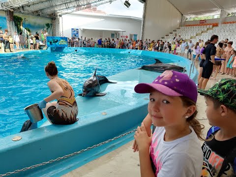 Видео: Анапский дельфинарий🐳