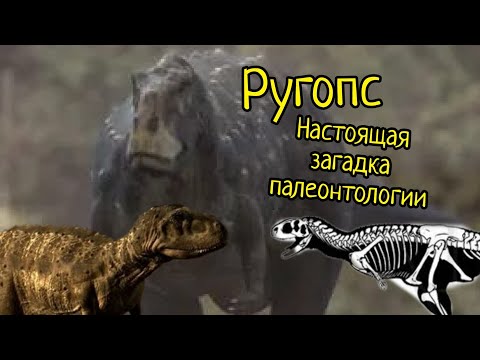 Видео: Ругопс-кто он? Настоящая загадка палеонтологии.