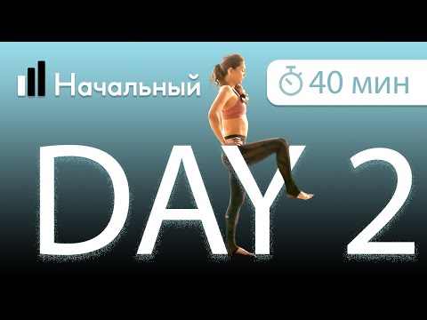 Видео: День 2. Муладхара чакра (1 чакра) Йога для начинающих. Полная программа. Асаны, пранаяма, медитация