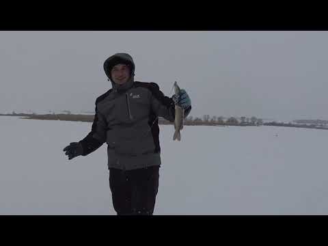 Видео: Зимний сезон 2023-2024 продолжается.Рыбалка на щуку,жерлицы и балансиры в работе