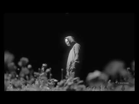 Видео: масло чёрного тмина - лето (slowed+reverb)