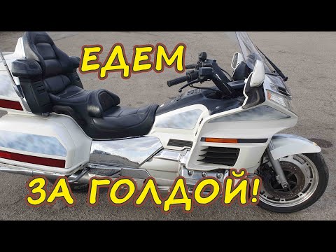 Видео: ЕДЕМ ЗА ГОЛДОЙ! | КУПИЛИ HONDA GoldWing 1500SE!