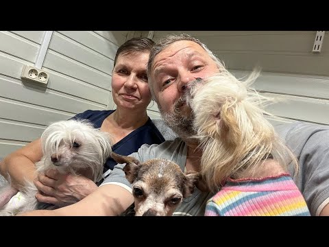 Видео: Собаки разлетаются как пирожки?! Марафон смотрин в приюте для собак!