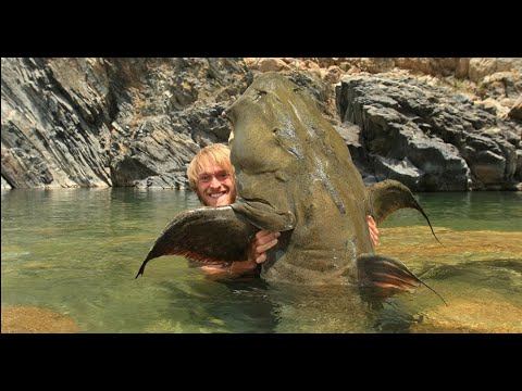 Видео: Рыбацкие легенды Якуба Вагнера  Индия ч  1