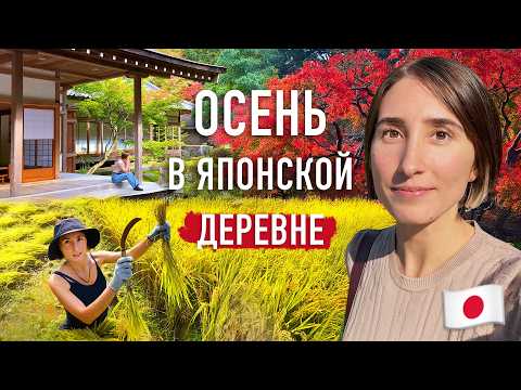 Видео: Осенняя рутина в японской деревне! Наша жизнь вдали от Токио